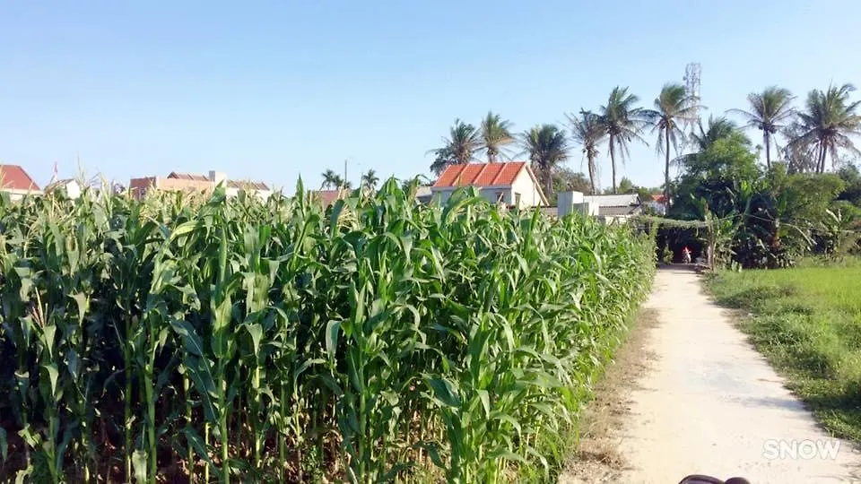 Hoi An Sunny Homestay  Hoi An