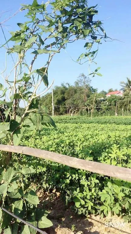 Hoi An Sunny Homestay