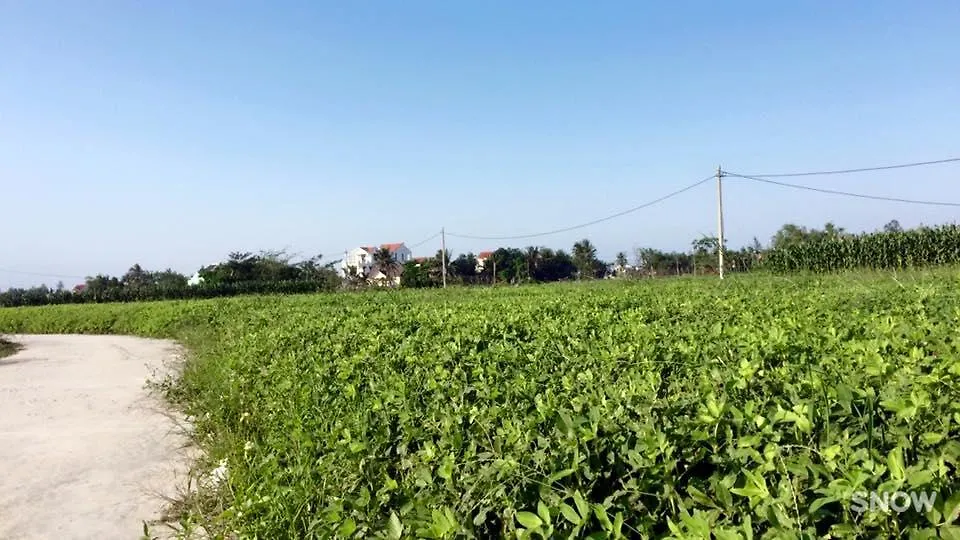 Hoi An Sunny Homestay Hoi An