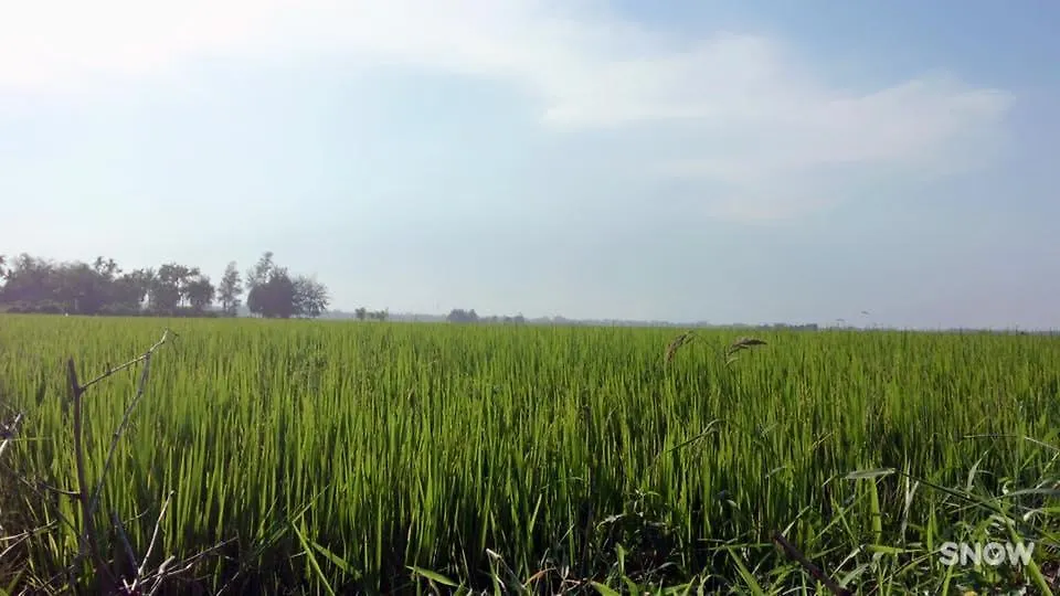 Hoi An Sunny Homestay 0*, Hoi An
